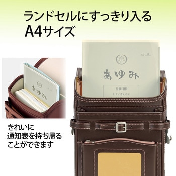クリアホルダー 通知表ホルダー プラス(文具)