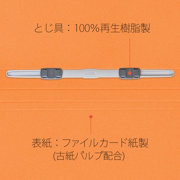 年組氏名 フラットファイル PLUS(プラス)[文具]