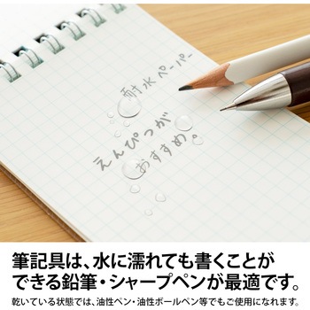 PW1570 プロジェクト耐水メモ ベーシック(5mm 方眼ブルー罫) 1冊