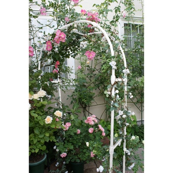 フラワーアーチ継ぎ足しセット DAIM