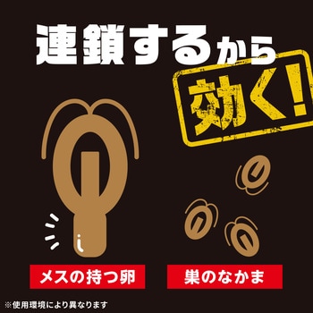 ブラックキャップ アース製薬