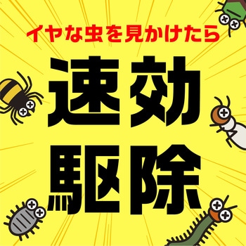 虫コロリアース (粉剤) アース製薬