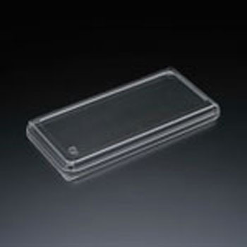 FKp195 SPW W X~ 40221449