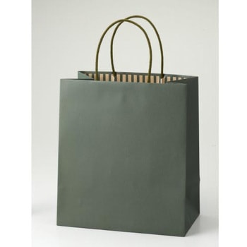 ‐ 紙手提袋 STカラーズ パックタケヤマ 40222325