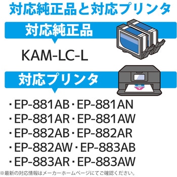 互換インク カラークリエーション カメ エプソン 使い切りタイプ カラークリエーション
