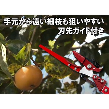 強力剪定伸縮高枝切鋏 4M 千吉