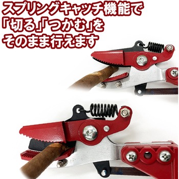 強力剪定伸縮高枝切鋏2段 千吉