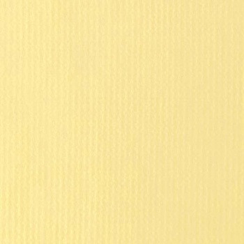 オリビア テーブルクロス ロール (100m) EBM