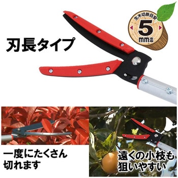 刃長伸縮式高枝切鋏 - E-Value