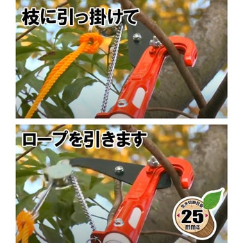 高枝切鋏グラスファイバー E-Value