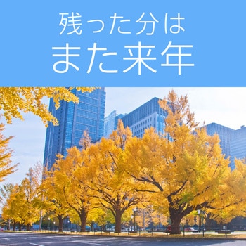 アースノーマット取替えボトル アース製薬