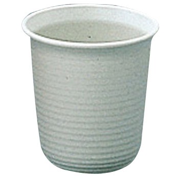 10�� �Z�[�k���� �A�C���X�I�[���} 40458083