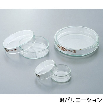 フラットシャーレ SCC アズワン