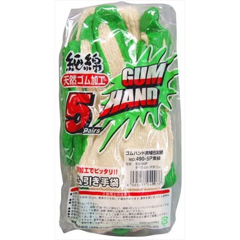 #490-5P Snh FUKUTOKU(Y) F 40558447