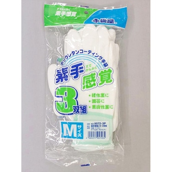 素手感覚 FUKUTOKU