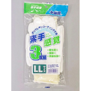 素手感覚 FUKUTOKU