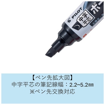 ボードマスター(中字平芯) パイロット