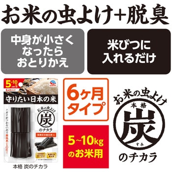 本格 炭のチカラ 1個 アース製薬 【通販モノタロウ】