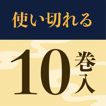 アース渦巻香 プロプレミアム アース製薬