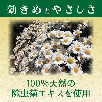 天然除虫菊水性キンチョール 金鳥(KINCHO)
