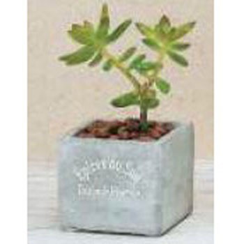 H1787 �Z�����O���|�b�g �G�C�`�c�[�I�[ 40617493