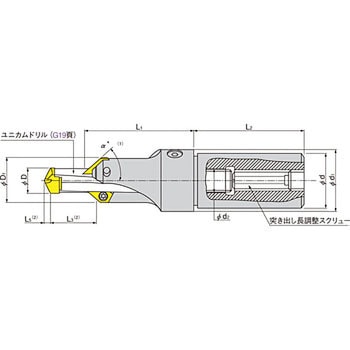 ホルダ イスカル