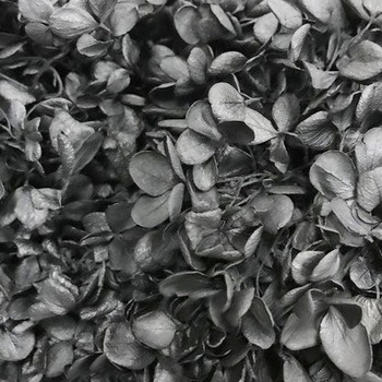 01510-890 �\�t�g�s���~�b�h�A�W�T�C�E�w�b�h ��2�� ��n�_�� 40718205