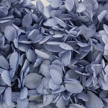 01510-641 �\�t�g�s���~�b�h�A�W�T�C�E�w�b�h ��2�� ��n�_�� 40718214