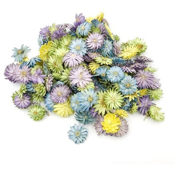 33000-440 �`�[�[���t�����[ ��n�_�� 40718293