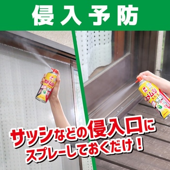 カメムシキンチョールH 金鳥(KINCHO)
