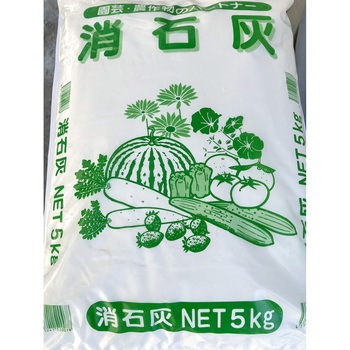 - ���ΊD �F�{���Y 40759243