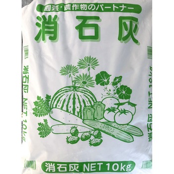 - ���ΊD �F�{���Y 40759259