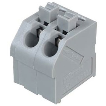Wago 250シリーズ 照明用コネクタ 2 250-502 ワゴジャパン