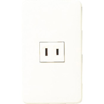 WNP1001MWP tJ[RZg Panasonic(pi\jbN) 15A 125V ɐ2P 41041113