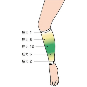 アシカール ハヤシニット