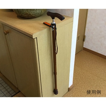 杖固定ホルダー アズワン
