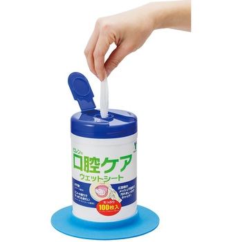 ピレン口腔ケアウェットシート 123×180 - 竹虎