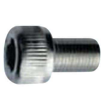 12~40 Zpt{g ̑ז (XeX)() ㍰ S˂ 41603186