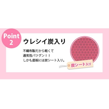 ブラ・ショーツ収納ケース2個組 アイメディア