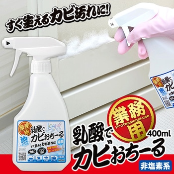 業務用 乳酸でカビおちーる アイメディア