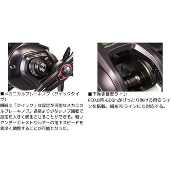 24 紅牙 IC - DAIWA(ダイワ)