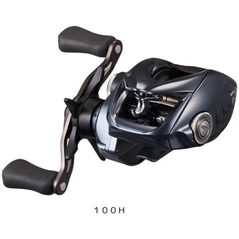 25 タトゥーラ SV TW - DAIWA(ダイワ)