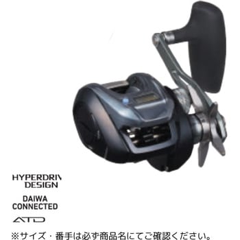 300HL-C 25 eBG IC 300-C DAIWA(_C) d375g 41551347