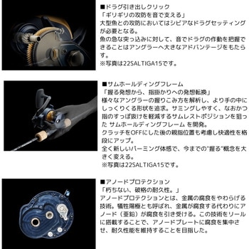 25 ソルティガ(ベイト) DAIWA(ダイワ)
