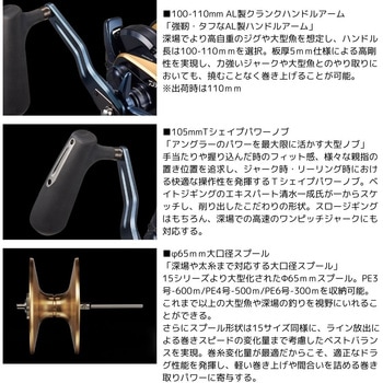 25 ソルティガ(ベイト) DAIWA(ダイワ)