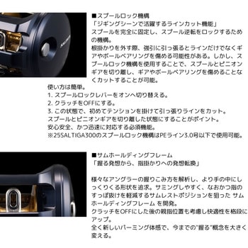 25 ソルティガ DAIWA(ダイワ)
