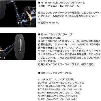 25 ソルティガ DAIWA(ダイワ)