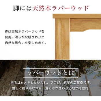 ダイニングこたつ こたつテーブル 長方形 幅105cm 萩原