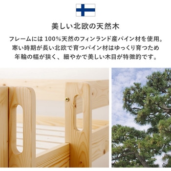 垂直はしご ロフトベッド ロータイプ 耐荷重250kg 萩原
