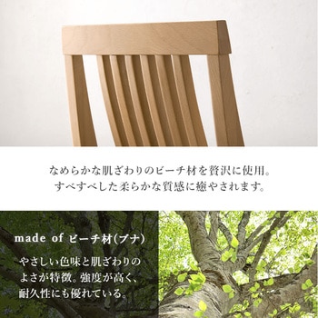 ダイニングチェア 2脚セット ハイバックタイプ 曲線背面 座面クッション付き 萩原